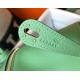 Hermes Mini Lindy Bag In Vert Criquet Clemence Leather