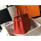 Hermes Birkin 25cm Bag In Red Clemence Leather