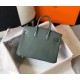 Hermes Birkin 25cm Bag In Vert Amande Clemence Leather