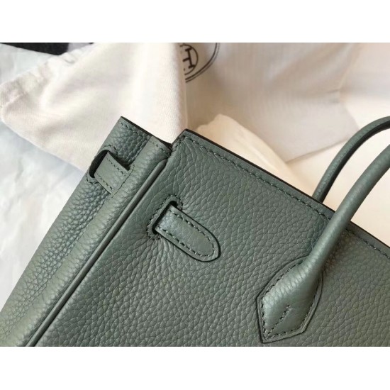 Hermes Birkin 25cm Bag In Vert Amande Clemence Leather