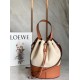 Loewe Medium Balloon Bucket Bag In Canvas