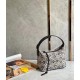 Loewe Small Cubi Hobo Bag in Ecru Black Anagram Jacquard