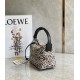 Loewe Small Cubi Hobo Bag in Ecru Black Anagram Jacquard