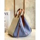 Loewe Medium Hammock Bag In White Blue Tan Calfskin