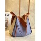 Loewe Medium Hammock Bag In White Blue Tan Calfskin