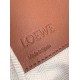 Loewe Medium Hammock Bag In White Blue Tan Calfskin