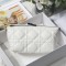 Dior m7003 Diortravel nomad clutch