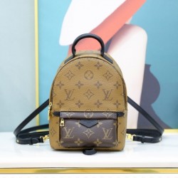 Louis Vuitton M44872 Palm Springs Mini Backpack