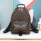 Louis Vuitton M44871 Palm Springs Pm